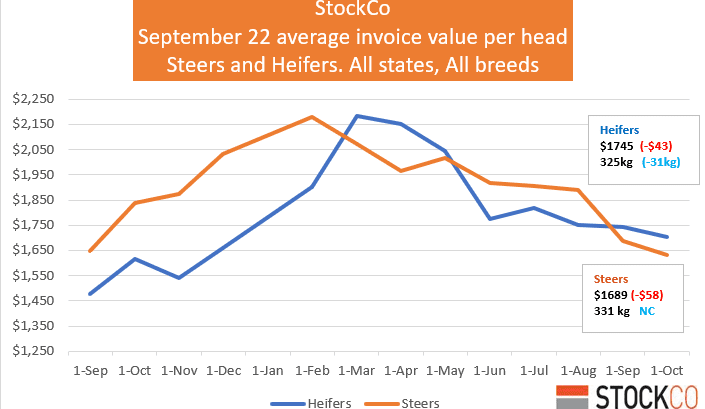 Chris Howie: We’re starting to see store steer prices run again