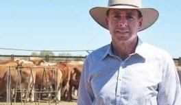 Supporting the North’s abundant agricultural opportunity