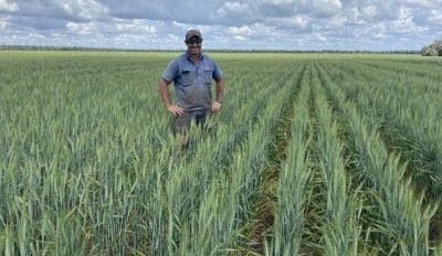 Feedgrain Focus: North flat, protein lifts in south