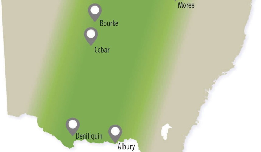 Annual vaccination protects sheep and cattle from anthrax in high-risk areas