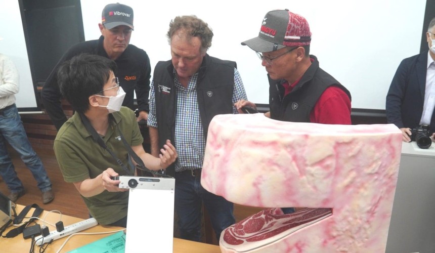 MIJ carcase camera playing critical part in Wagyu genetic progress