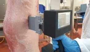 Microwave live animal and carcase fat measurement tool being road-tested