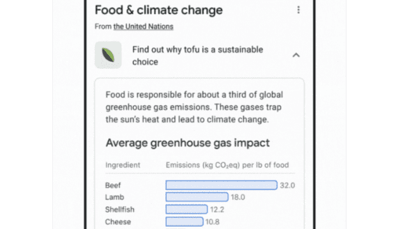 New Google search feature misrepresents beef’s environmental impact: NCBA
