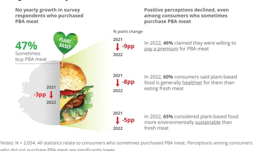 Plant-based meat gets “a reality check”