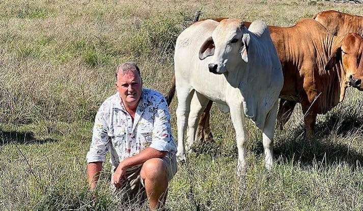 La Niña brings pasture improvement opportunity to the north
