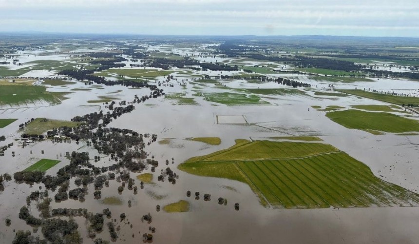 Feedgrain Focus: Prices surge as floods throttle supply