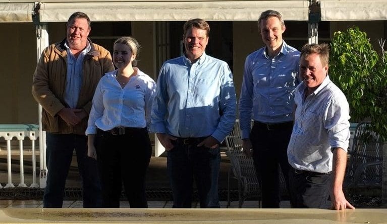 Qld agents with highest AuctionsPlus throughput in record year