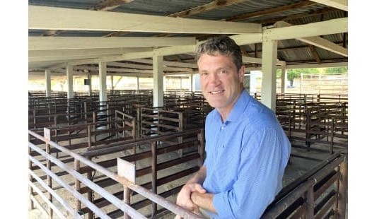 US hungry for world’s beef as domestic production declines