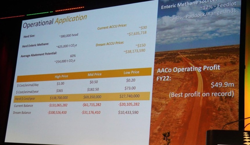 AA Co’s pathway for a ‘nature-positive’ beef industry