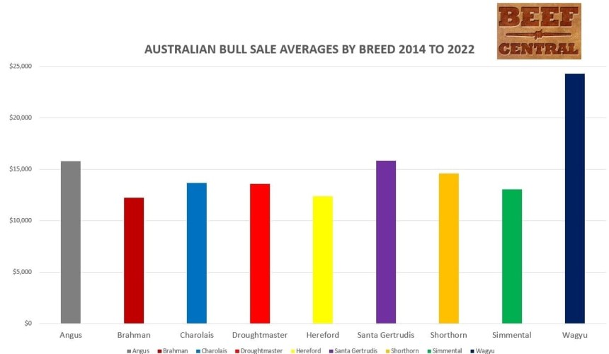 2022 bull sales: Your complete guide to each major beef breed’s results and trends