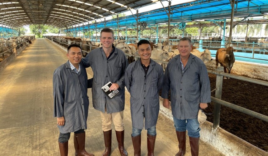 Challenges galvanising northern cattle producers and exporters from Darwin to Vietnam