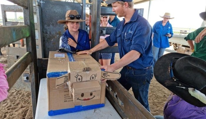 Central Qld group hoping to fill ag education void