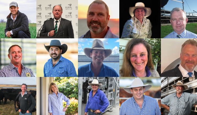 How does the Cattle Australia voting process work?