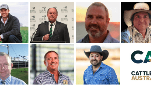 Meet the seven candidates standing for Cattle Australia’s northern region
