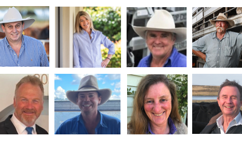 Meet the eight candidates standing for Cattle Australia’s southern region
