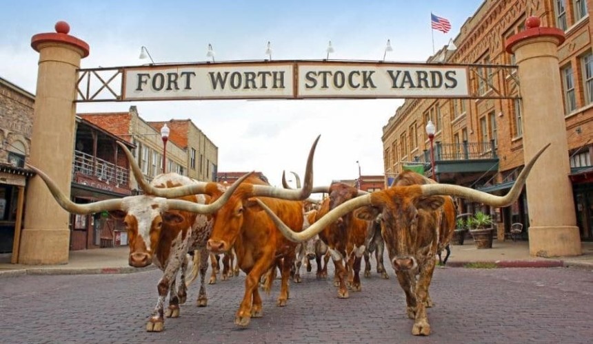 Register interest for Beef Central’s inaugural Texas study tour