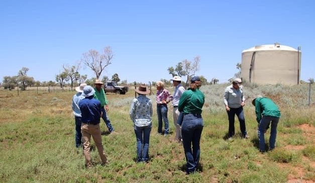 Beef agtech uptake not as easy as ‘click and play’