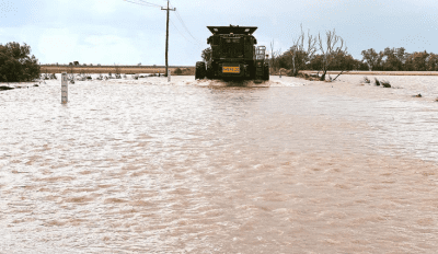 Feedgrain Focus: Rain reignites southern inverse