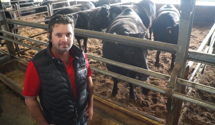 US drought tearing the heart out of cattle industry