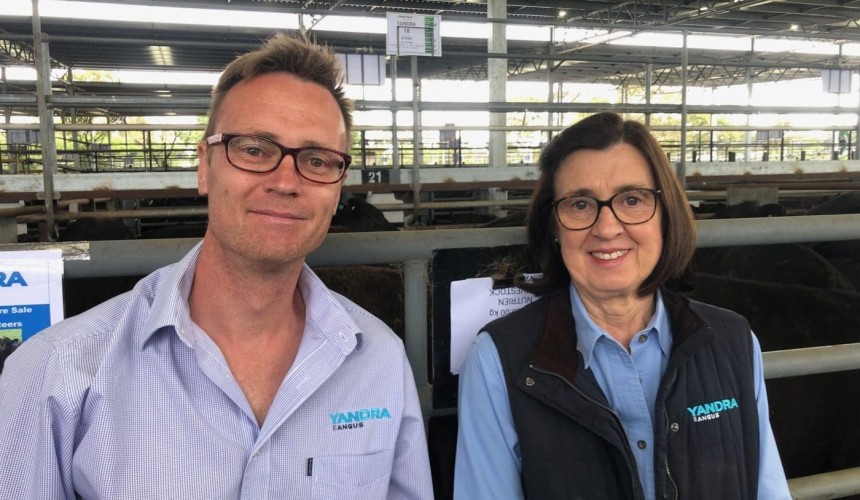 Prices trimmed at opening Vic weaner sale + VIDEO
