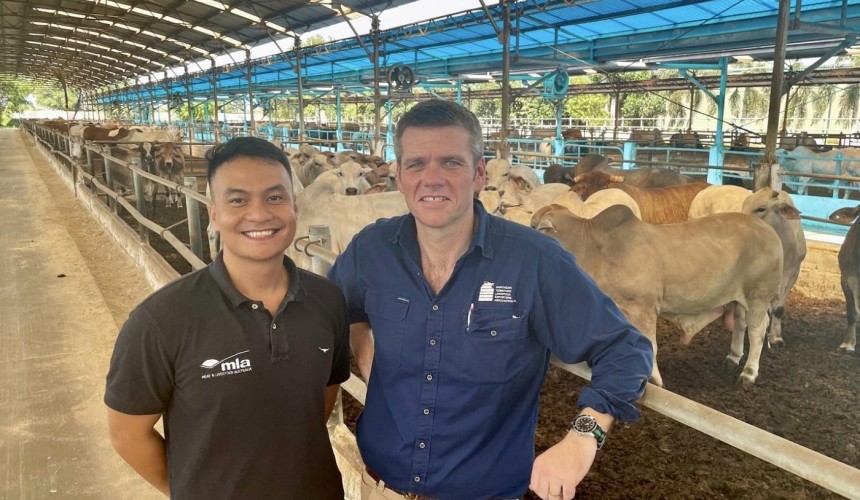 Live export ties boosting animal disease defence