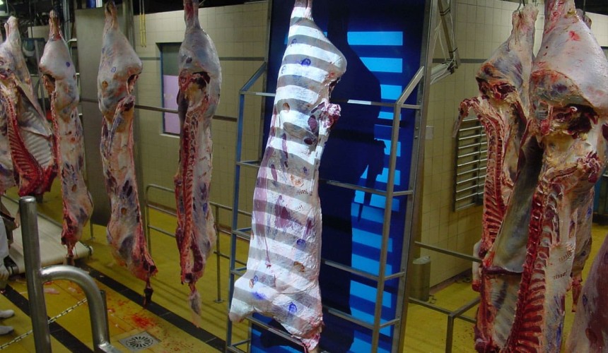 2023 poised to be year of great progress for objective beef carcase yield assessment