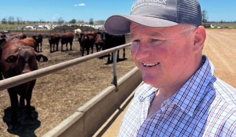 Woolworths beef purchases top 157,000t during 2021-22