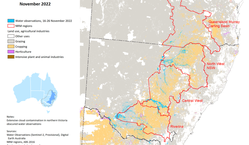 Too early to tell true cost of floods: ABARES