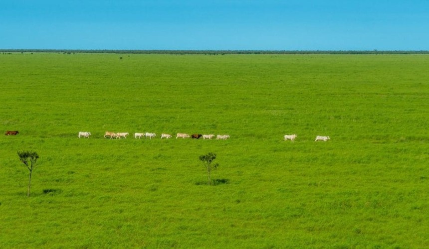 Movement at the Station: Recent property sales and listings in the NT