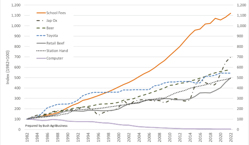 The Bullock Index: Cattle prices versus school fees, diesel, barbed wire and utes over time