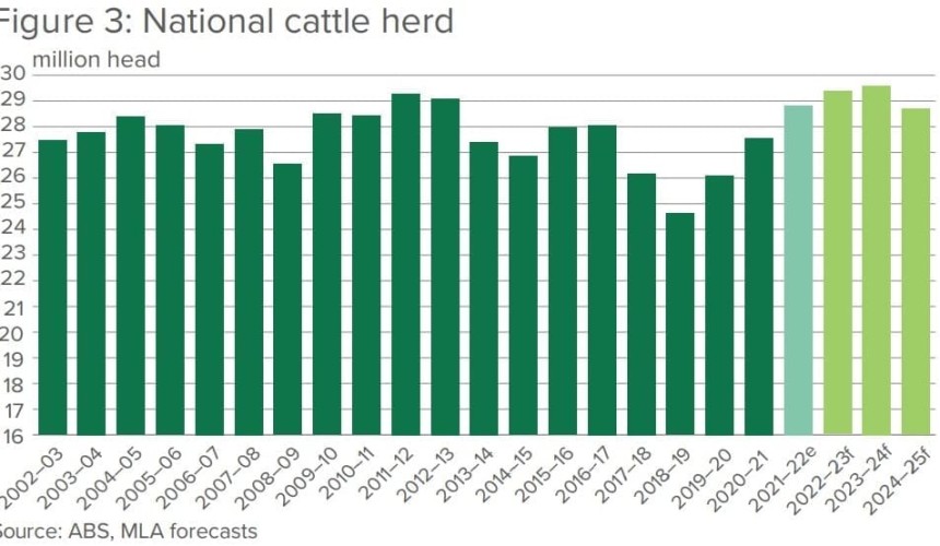 National beef herd at 28.8m, restored to 2014 levels