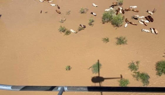 Nutrien and Elders donate $10k each to kick start Kimberley flood appeal