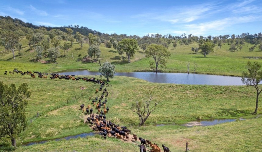 Movement at the Station: Recent property listings