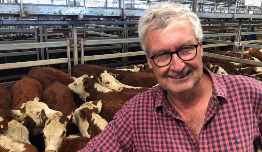 Vic Weaner sales: Wodonga day 2