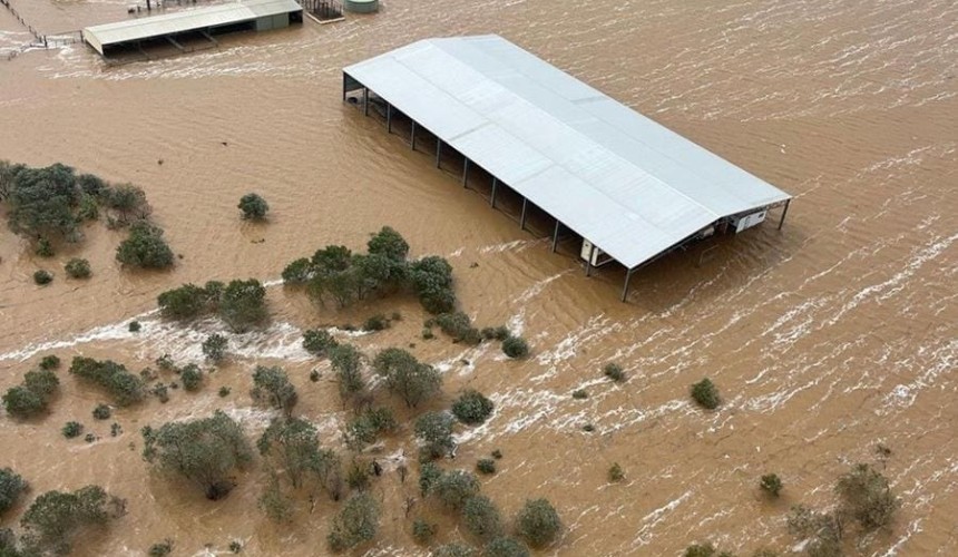 Assistance for flood-affected producers