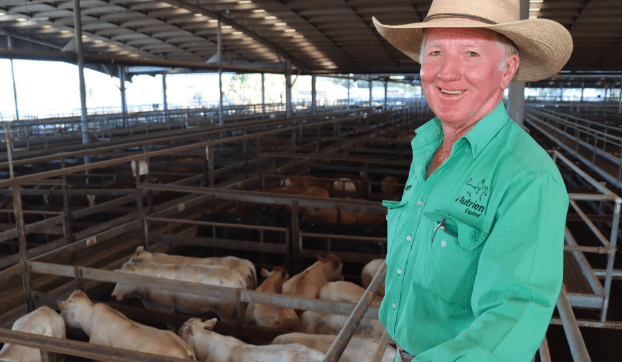 Dalby sale 18 Jan 2023: Yearlings lift by 20-30c + PICS