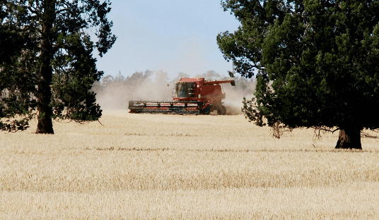 Producer group hoping to become “scoreboard” on ag emissions targets