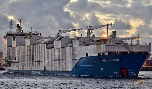 Court orders ‘arrested’ livestock export ship at Portland to be auctioned