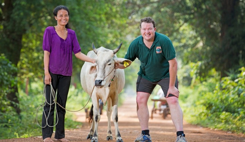 How to get half-a-dozen Aussie breeding cattle into Cambodia
