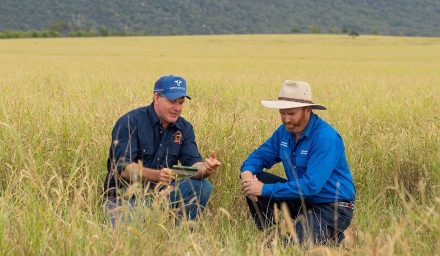 Be alert for pasture dieback