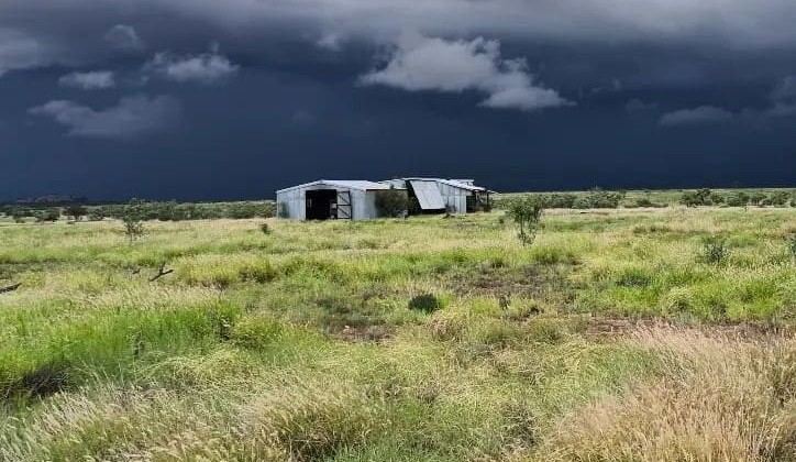 Parts of the north enjoying the best wet season in a decade