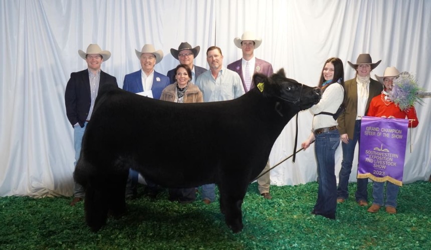 Texas led steer “Snoop Dogg” sells for US$440,000