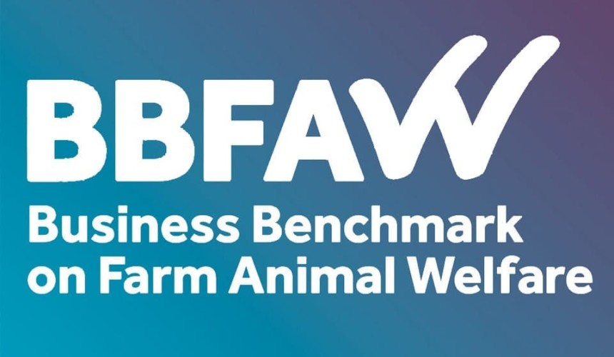 Woolworths ends alignment with controversial animal welfare benchmark