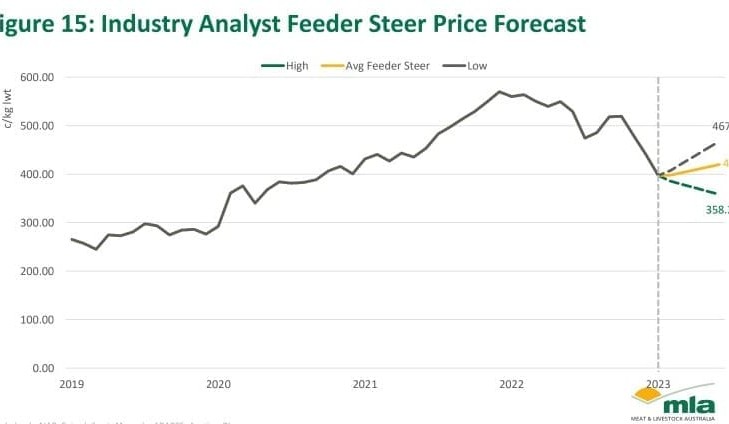 Young cattle, feeder steer values likely to rise by mid-year, analysts say
