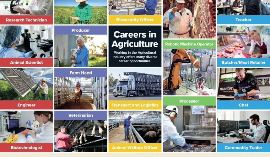 New red meat industry educational resources out for the 2023 school year