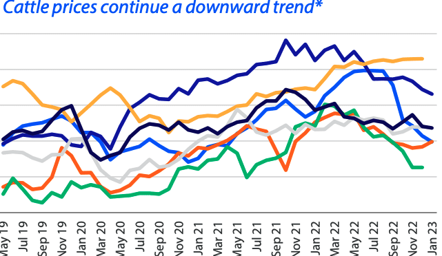 Consumer confidence key factor for beef returns in 2023: Rabo