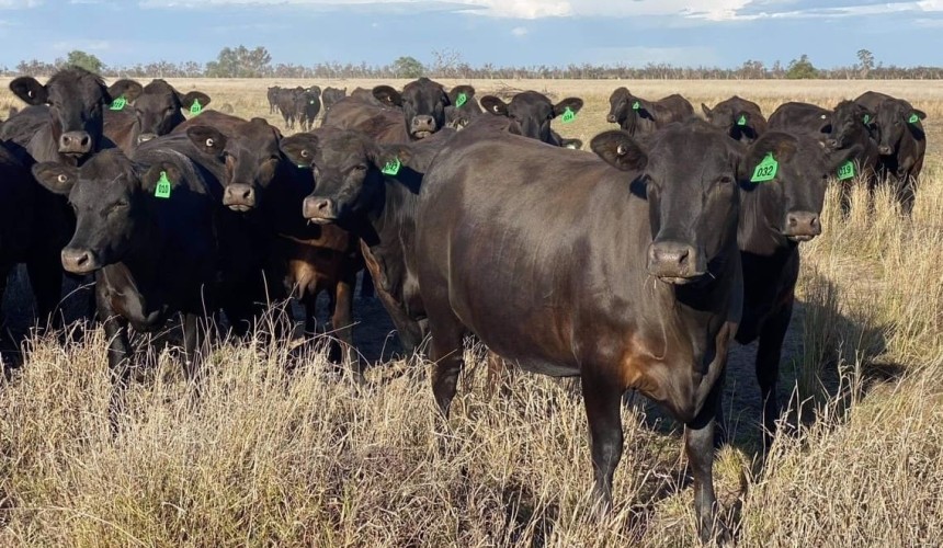 Lack of producer participation part of changes to ABS ag stats collection