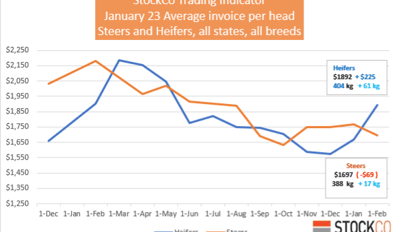 Chris Howie: Analysing the price reset