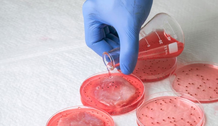 Cultured meat claims “overly ambitious, not supported by evidence” review finds
