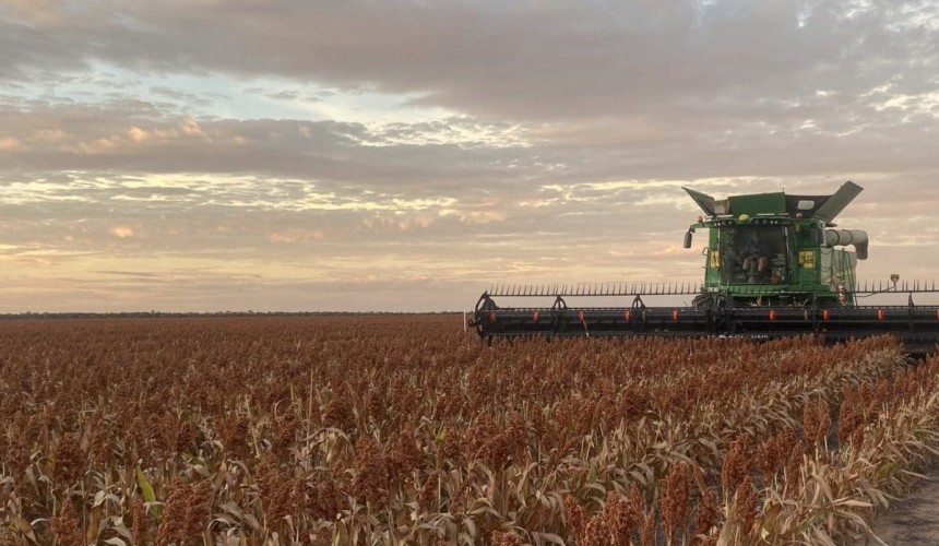 Feedgrain Focus: Prices lift as north turns dry